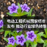 电动工程机械国家标准发布 推动行业绿色转型(图4) 电动工程机械国家标准发布 推动行业绿色转型(图4)