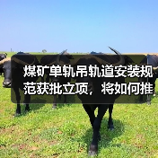 煤矿单轨吊轨道安装规范获批立项,将如何推动行业标准化?(图2) 煤矿单轨吊轨道安装规范获批立项,将如何推动行业标准化?(图2)
