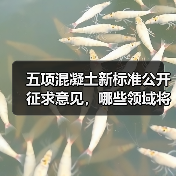 五项混凝土新标准公开征求意见,哪些领域将受冲击?(图4) 五项混凝土新标准公开征求意见,哪些领域将受冲击?(图4)