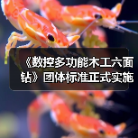 《数控多功能木工六面钻》团体标准正式实施,行业规范迎来新升级(图1) 《数控多功能木工六面钻》团体标准正式实施,行业规范迎来新升级(图1)