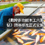 《数控多功能木工六面钻》团体标准正式实施,行业规范迎来新升级(图4) 《数控多功能木工六面钻》团体标准正式实施,行业规范迎来新升级(图4)