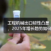 工程机械出口韧性凸显,2025年增长趋势如何?(图3) 工程机械出口韧性凸显,2025年增长趋势如何?(图3)