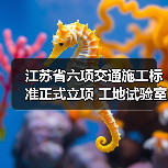 江苏省六项交通施工标准正式立项 工地试验室管理新规出炉(图4) 江苏省六项交通施工标准正式立项 工地试验室管理新规出炉(图4)