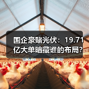 国企豪赌光伏:19.71亿大单暗藏谁的布局?(图2) 国企豪赌光伏:19.71亿大单暗藏谁的布局?(图2)