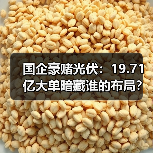 国企豪赌光伏:19.71亿大单暗藏谁的布局?(图3) 国企豪赌光伏:19.71亿大单暗藏谁的布局?(图3)