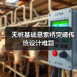 无桩基础悬索桥突破传统设计难题（图1）