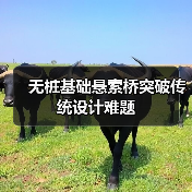 无桩基础悬索桥突破传统设计难题（图4）