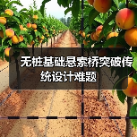 无桩基础悬索桥突破传统设计难题（图3）