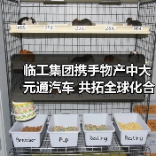临工集团携手物产中大元通汽车 共拓全球化合作新篇章(图1) 临工集团携手物产中大元通汽车 共拓全球化合作新篇章(图1)