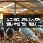 公路铁路混凝土无损检测技术规范如何提升工程质量?(图1) 公路铁路混凝土无损检测技术规范如何提升工程质量?(图1)