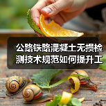 公路铁路混凝土无损检测技术规范如何提升工程质量?(图3) 公路铁路混凝土无损检测技术规范如何提升工程质量?(图3)