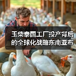玉柴泰国工厂投产背后的全球化战略东南亚布局（图4）