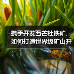 携手开发西芒杜铁矿，如何打造世界级矿山开采新标杆？（图2）