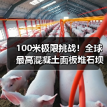 100米极限挑战！全球最高混凝土面板堆石坝如何实现智能高效建造？（图3）