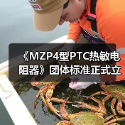 《MZP4型PTC热敏电阻器》团体标准正式立项,行业规范升级(图4) 《MZP4型PTC热敏电阻器》团体标准正式立项,行业规范升级(图4)