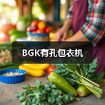 BGK有孔包衣机(图3) BGK有孔包衣机(图3)