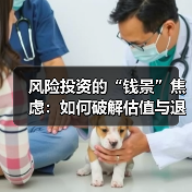 风险投资的“钱景”焦虑:如何破解估值与退出的双重困局?(图2) 风险投资的“钱景”焦虑:如何破解估值与退出的双重困局?(图2)