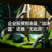 企业投资到底是“加速器”还是“无底洞”?看完这几点利弊再决定(图1) 企业投资到底是“加速器”还是“无底洞”?看完这几点利弊再决定(图1)