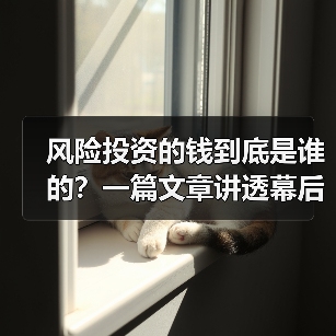风险投资的钱到底是谁的?一篇文章讲透幕后玩家(图4) 风险投资的钱到底是谁的?一篇文章讲透幕后玩家(图4)