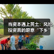 当资本遇上黄土：风险投资真的愿意“下乡”种地吗？（图4）